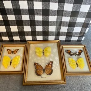 Set of 3 vintage butterfly displays made in Brazil